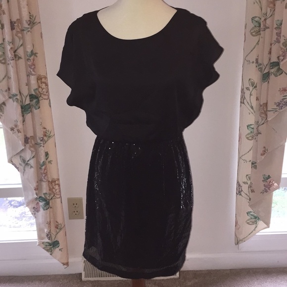 The Limited Dresses & Skirts - NWOT Sparkly and Silk Dress